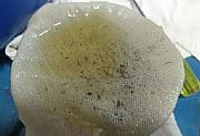 船舶艉轴承高温问题及其操作注意事项